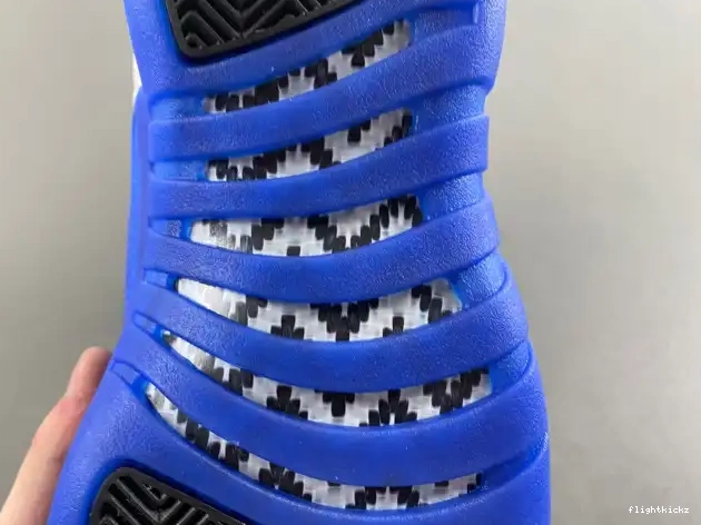 Blueberry 12 Jordan Air CT8013-140 0507